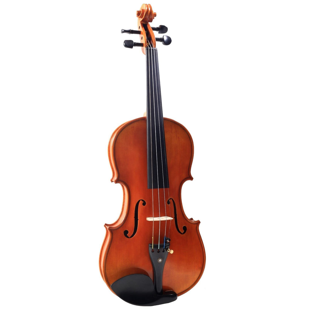 SANDNER 4/4 MASTER VIOLIN OUTFIT