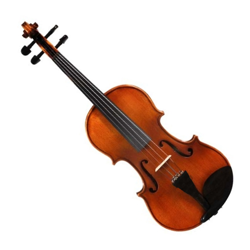 SONATA STUDENT MODEL VIOLIN WITH LIGHTWEIGHT CASE