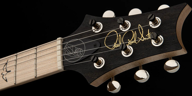 PRS BOLT ON MYLES KENNEDY SIGNATURE ELECTRIC GUITAR