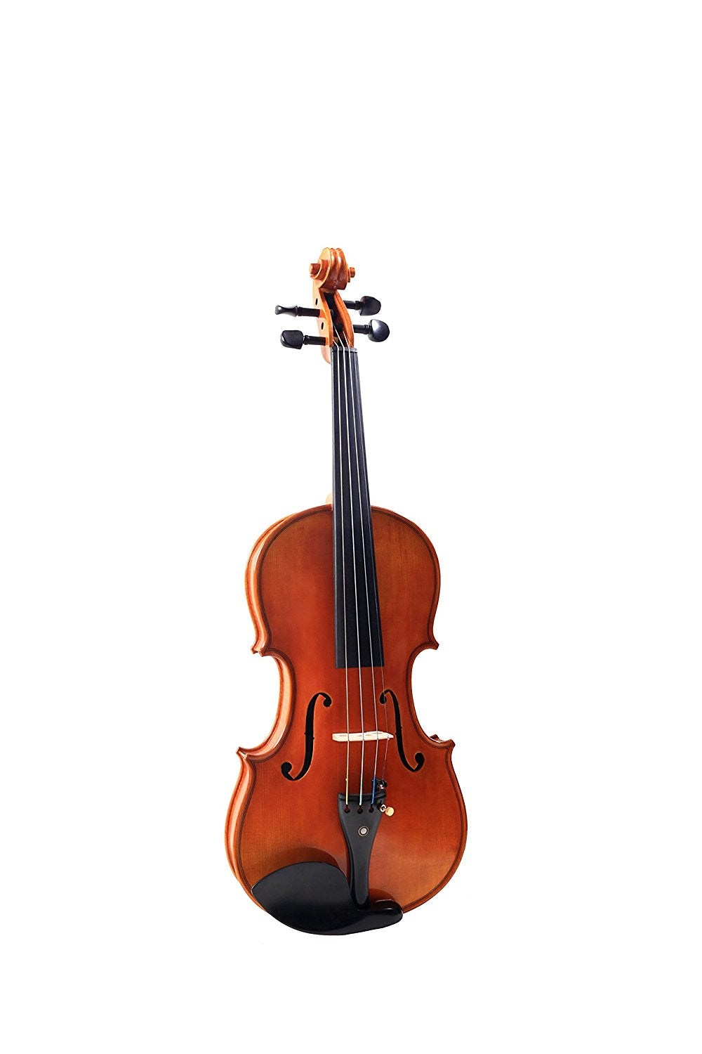 SANDNER DYNASTY VIOLIN - OUTFIT 300 FRONT