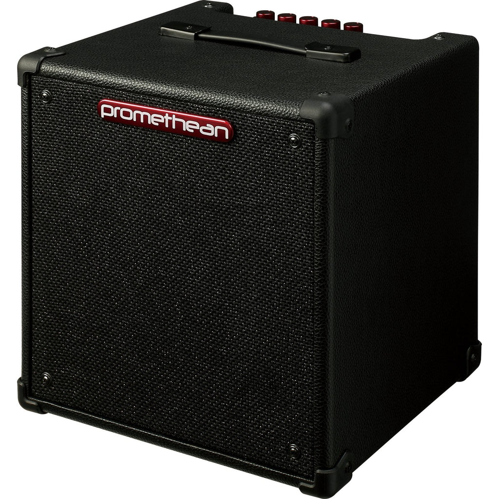 IBANEZ P20 PROMETHEAN BASS COMBO FRONT