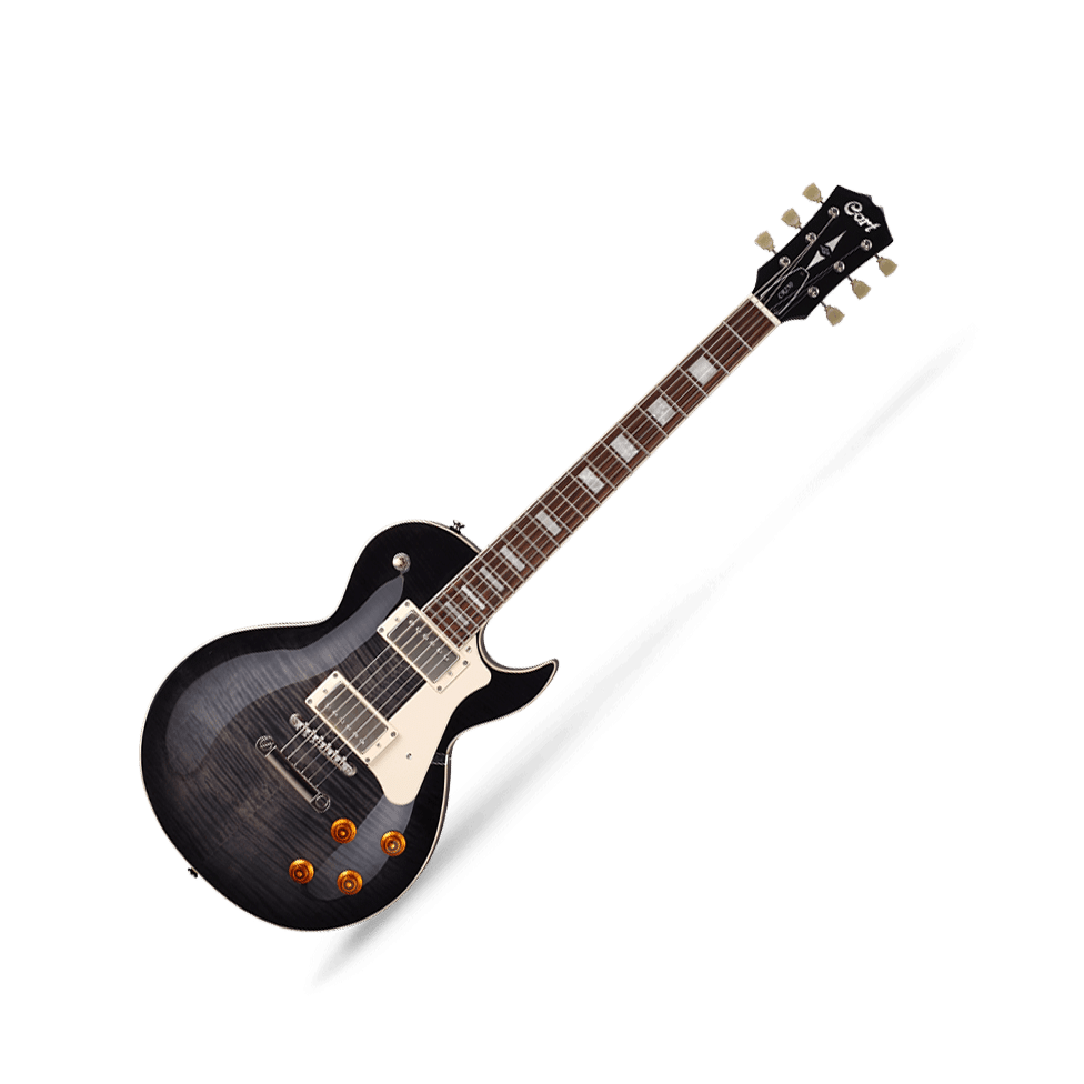 https://bothners.co.za/wp-content/uploads/2019/03/0006697_cort-cr250-transparent-black-electric-guitar.png