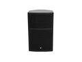 Celto Acoustique CT15V – 15” 2-Way Full-Range Speaker