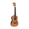 Stagg UC-30 E Acoustic-Electric Concert Ukulele - Natural