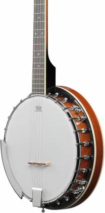 Ibanez B50 – Sapele Closed-Back Banjo