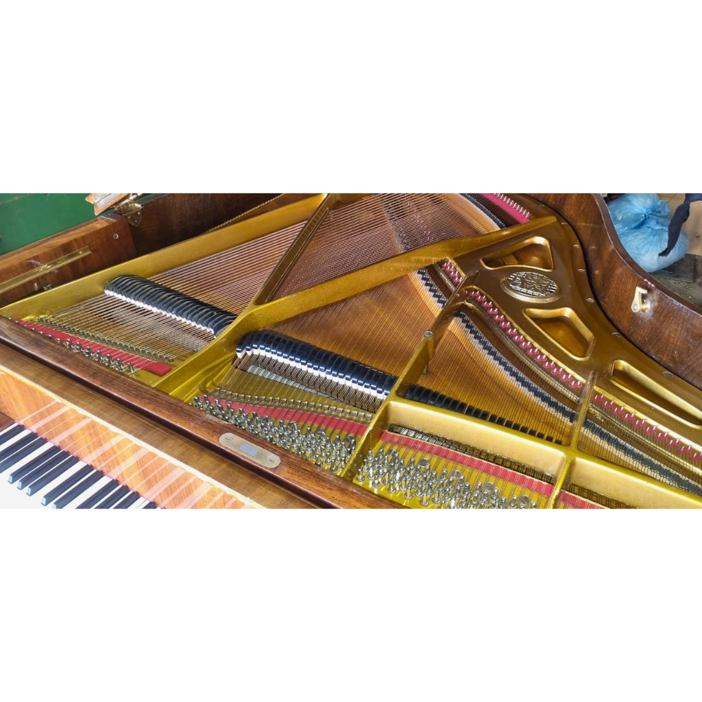 Pre-Owned Petrof Baby Grand Piano