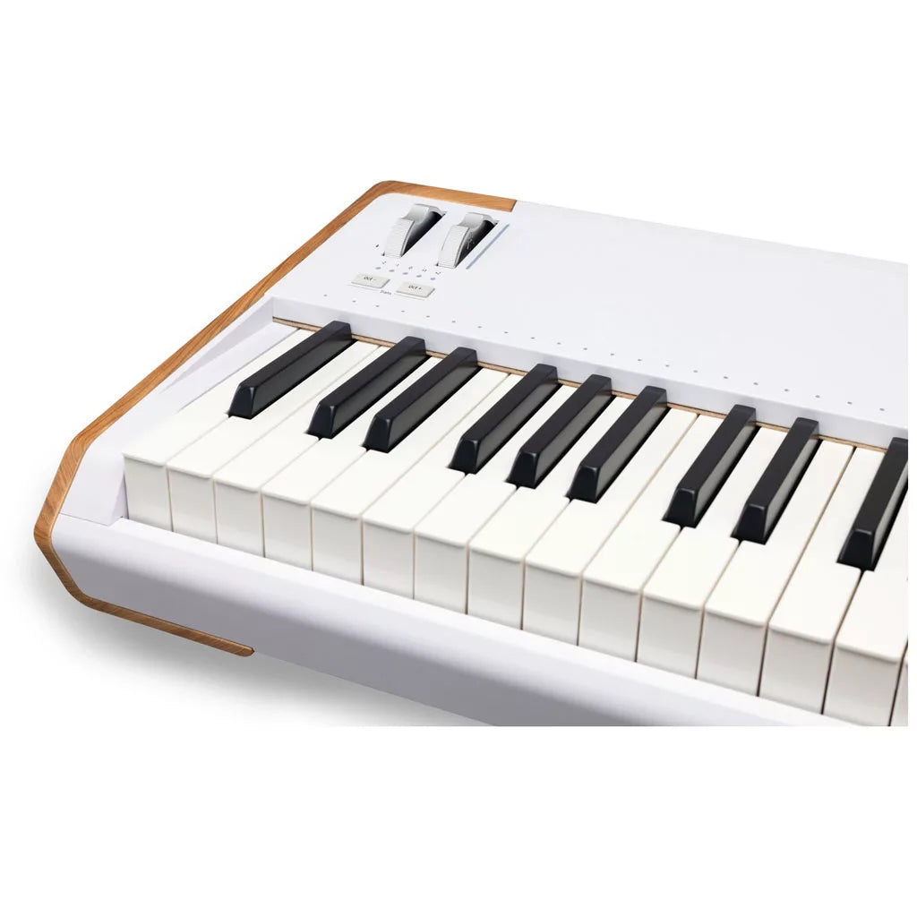 https://bothners.co.za/wp-content/uploads/2025/11/Arturia-AstroLab-88-key-Stage-Keyboard-White-detail-1-jpg.webp