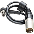 https://nxtleveltech.co.za/wp-content/uploads/2024/01/Austrian-Audio-AUS-OCC8.png