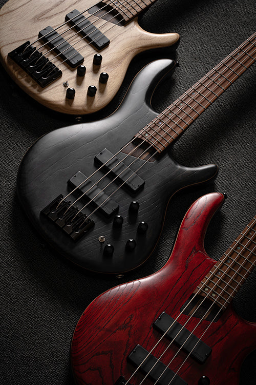 CORT B4 ELEMENT ARTISAN SERIES 4-STRING BASS GUITAR