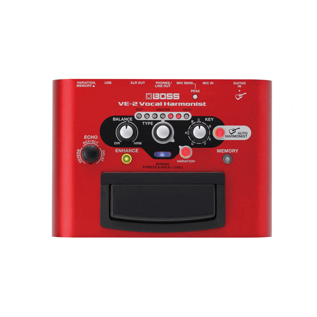 https://bothners.co.za/wp-content/uploads/2019/01/Boss-VE-2-VOCAL-HARMONIST-EFFECTS-PEDAL.gif