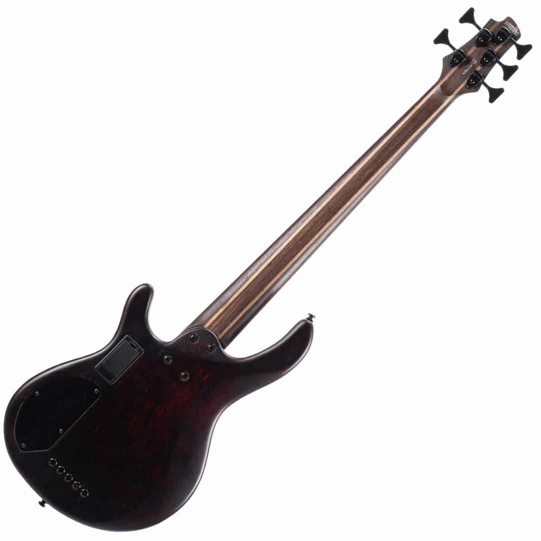 https://bothners.co.za/wp-content/uploads/2023/07/CORT-B5-Element-5-String-Bass-Guitar-OPTB-back.jpg