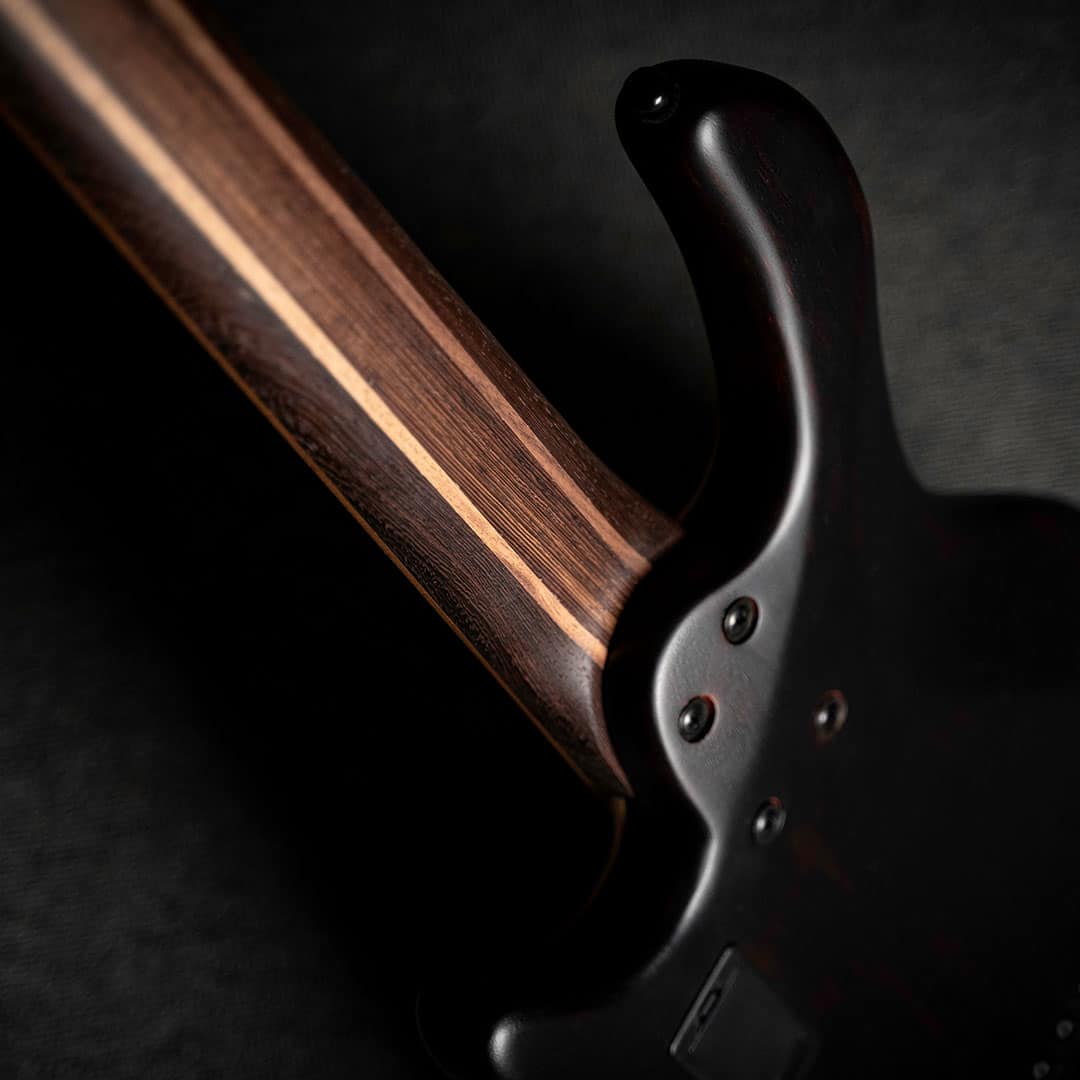 https://bothners.co.za/wp-content/uploads/2023/07/CORT-B5-Element-5-String-Bass-Guitar-neck-detail.jpg