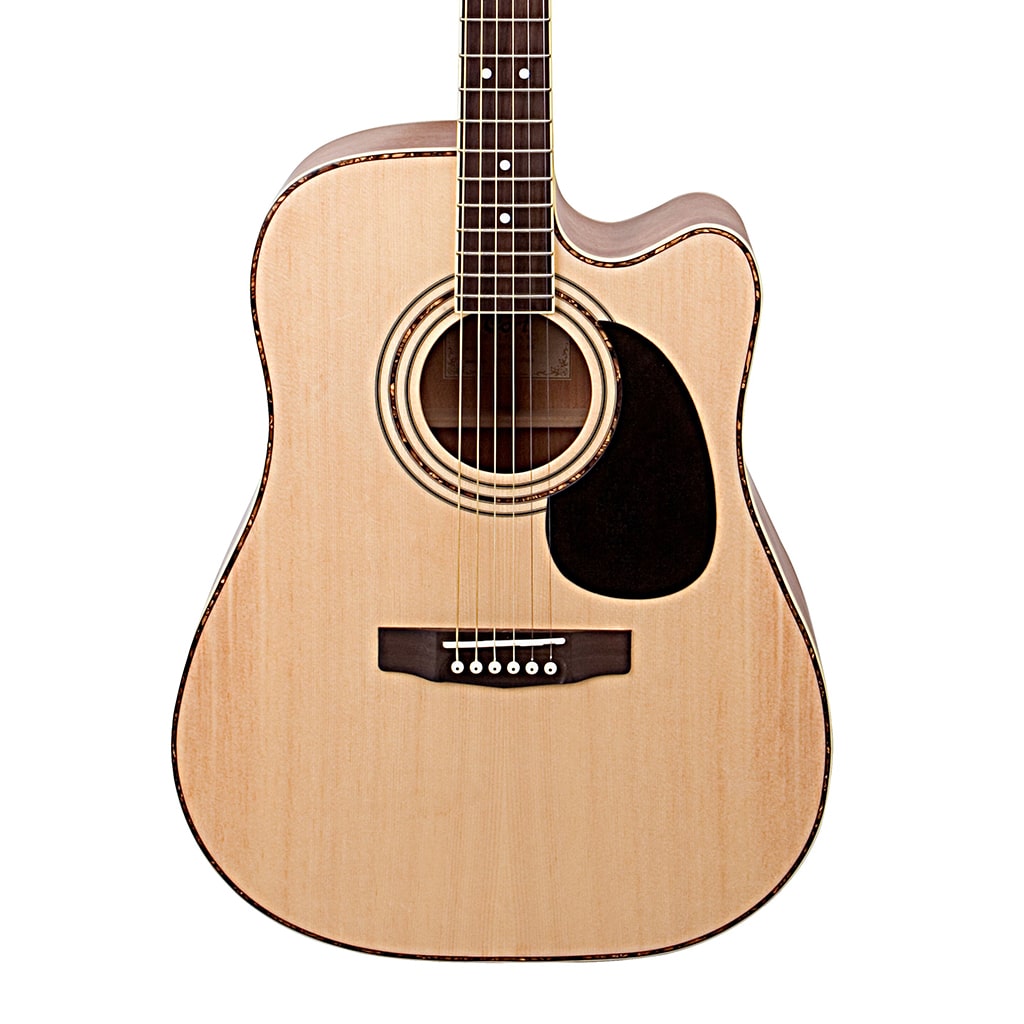 https://bothners.co.za/wp-content/uploads/2018/12/Cort-AD880CE-NS-ACOUSTIC-ELECTRIC-LANEY-LA12C.jpg