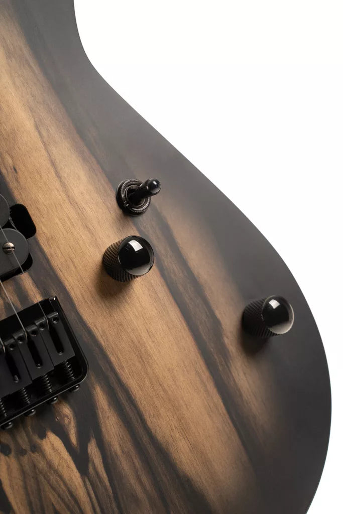 https://bothners.co.za/wp-content/uploads/2025/11/Cort-KX500-Electric-Guitar-Pale-Moon_Detail5-jpg.webp