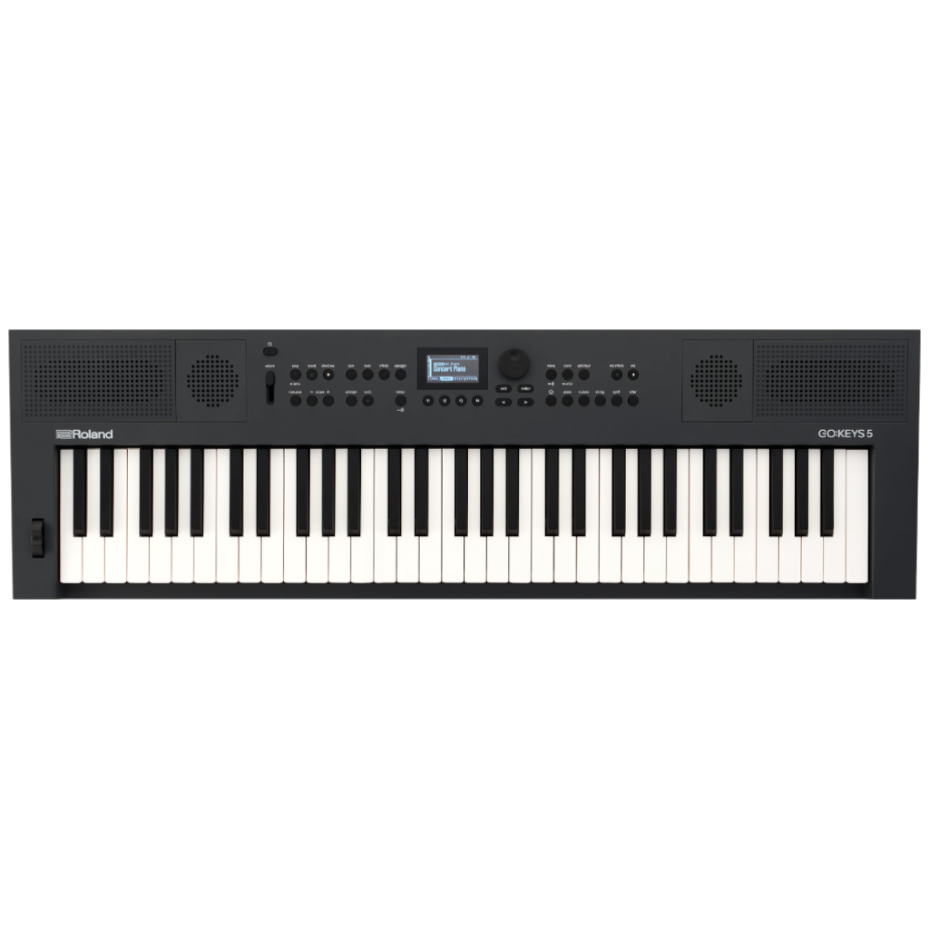 Roland GOKEYS5 61-Key Arranger Keyboard (Graphite)