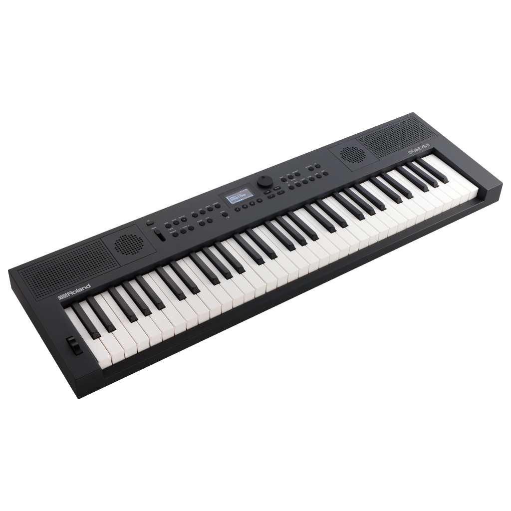 Roland GOKEYS5 61-Key Arranger Keyboard (Graphite)