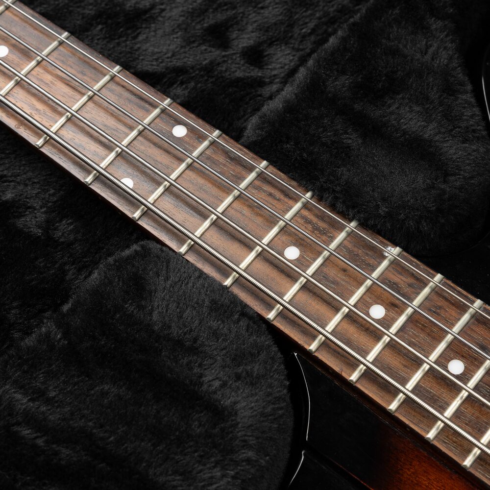 Gator GWE-TBIRD-BASS Thunderbird Bass Guitar Wood Case