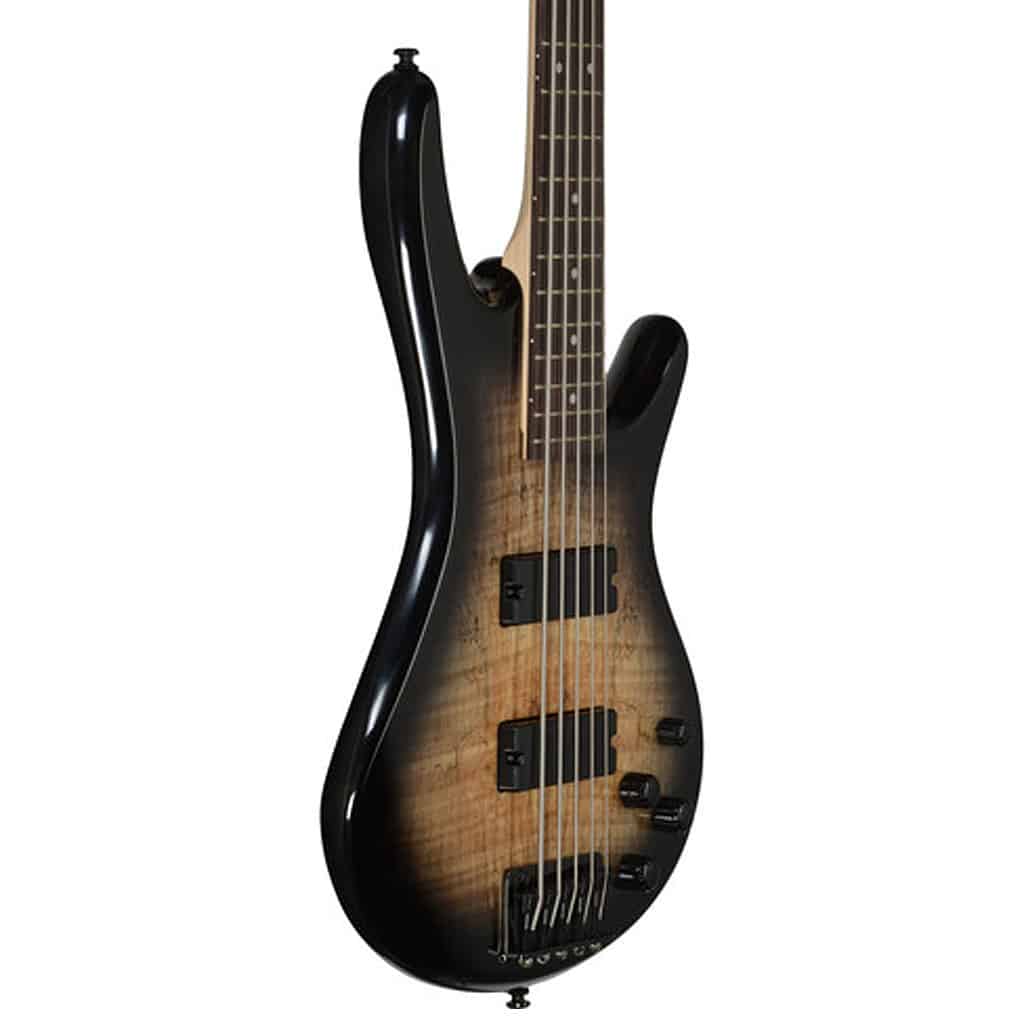 https://bothners.co.za/wp-content/uploads/2020/12/IBANEZGSR205SMNGTBASS_GUITAR_5_STR_SM-NGT2.jpg