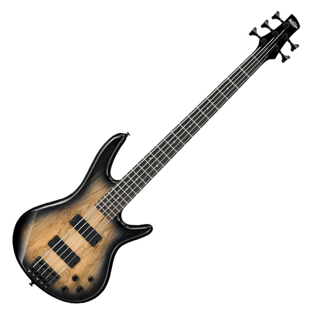 https://bothners.co.za/wp-content/uploads/2020/12/IBANEZGSR205SMNGTBASS_GUITAR_5_STR_SM-NGT5.jpg