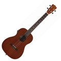 https://bothners.co.za/wp-content/uploads/2021/04/KalaKABEMAHOGANY_BARITONE_w_EQ5.jpg