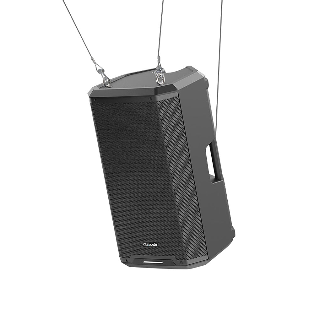 Plus Audio MPS12A High-Performance Loudspeaker