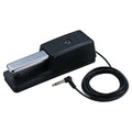 https://bothners.co.za/wp-content/uploads/2018/12/Roland-DP-10-KEYBOARD-PEDAL.jpg