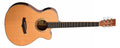 Tanglewood Winterleaf TW4CE Natural Gloss - Solid Cedar Top, Mahogany Back & Sides W/Bag