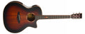 Tanglewood Winterleaf Exotic TWX6CEK Grand Auditorium Cutaway - Autumn Burst Gloss W/Bag