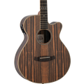 https://bothners.co.za/wp-content/uploads/2024/06/Tanglewood-Reunion-Folk-Figured-Ebony-Acoustic-Guitar-With-Bag.png
