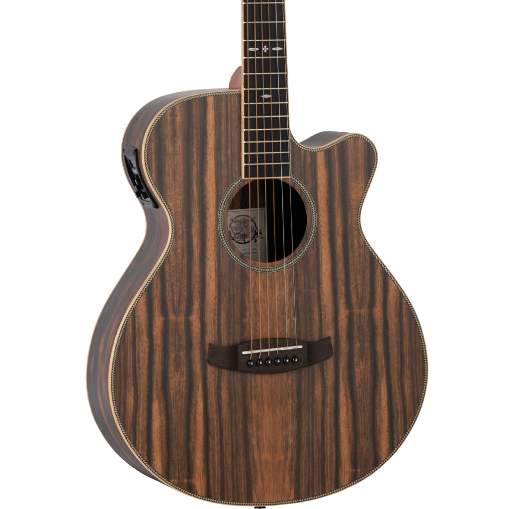 https://bothners.co.za/wp-content/uploads/2024/06/Tanglewood-Reunion-Folk-Figured-Ebony-Acoustic-Guitar-With-Bag.png