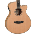 https://bothners.co.za/wp-content/uploads/2024/06/Tanglewood-Reunion-Super-Folk-Acoustic-Guitar-With-Bag.png