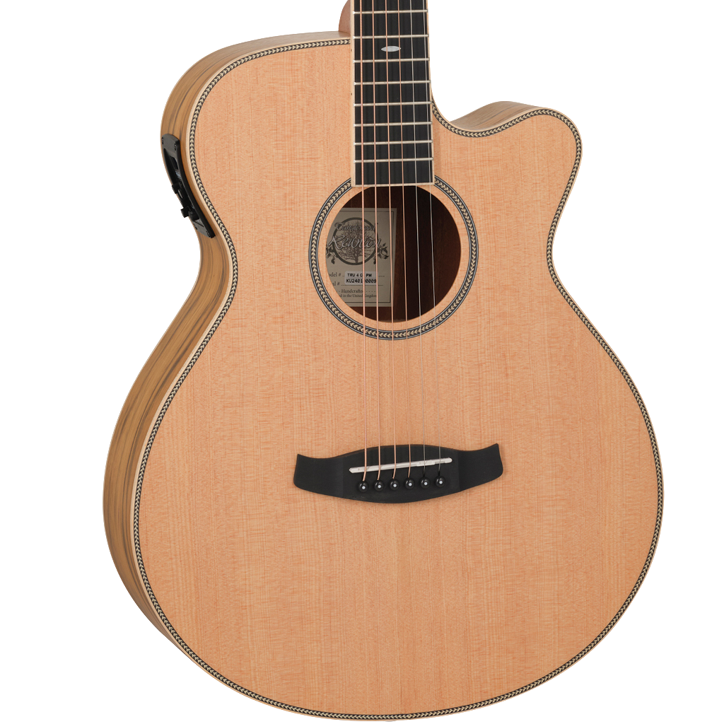 https://bothners.co.za/wp-content/uploads/2024/06/Tanglewood-Reunion-Super-Folk-Acoustic-Guitar-With-Bag.png