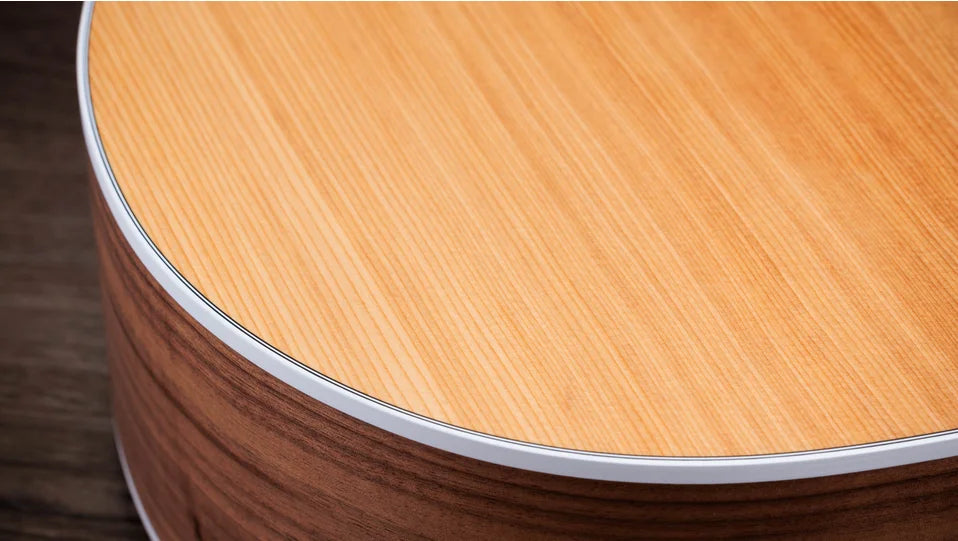 Taylor 200 Series 214ce Acoustic-Electric Guitar - Natural