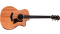 Taylor 24CE