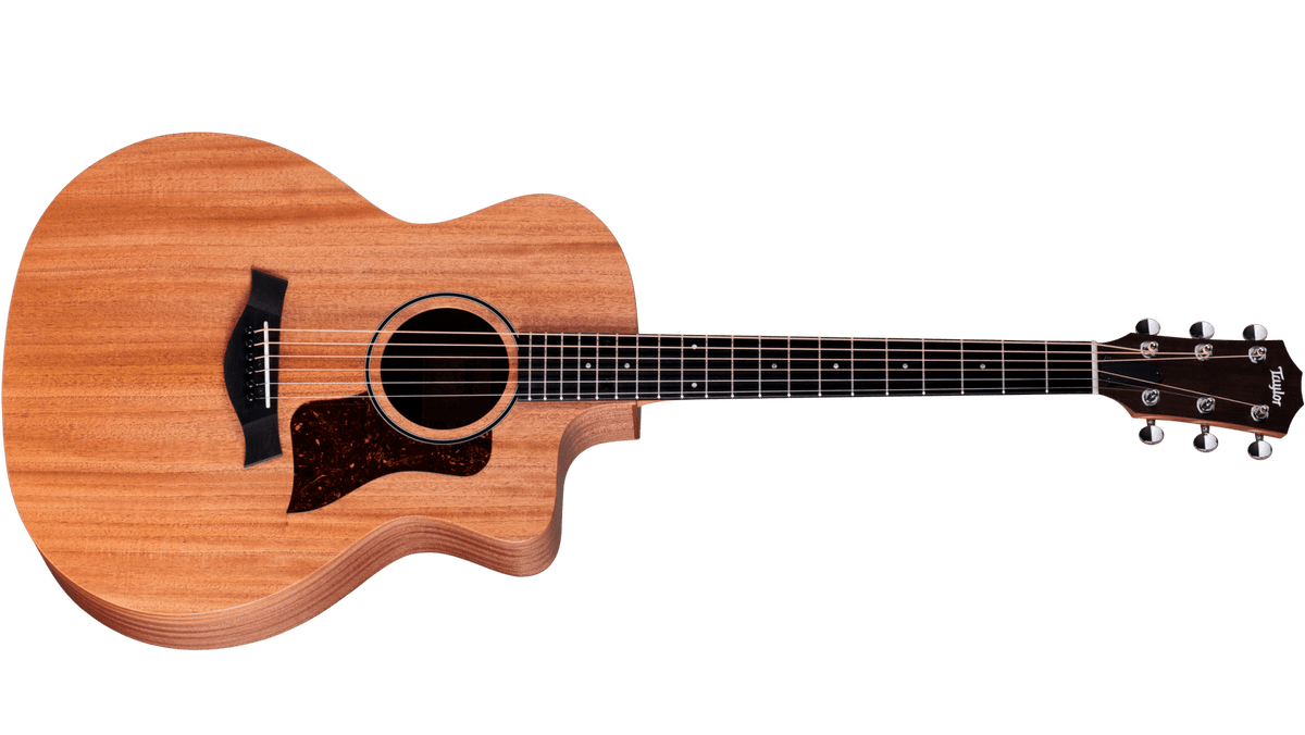 Taylor 24CE