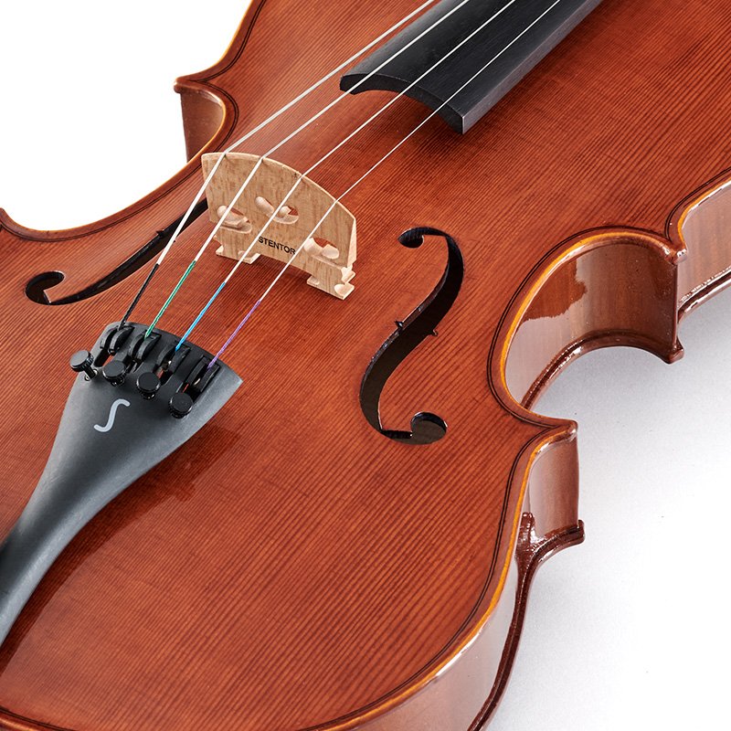 Stentor Conservatoire Viola Outfit – 16.0”