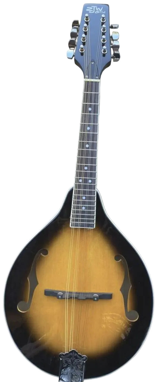 https://music-store.co.za/Cache/cached_1280x0_(1)MANDOLIN.JPG