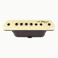 L.R. Baggs M1 & M1 Active Acoustic Guitar Soundhole Pickups