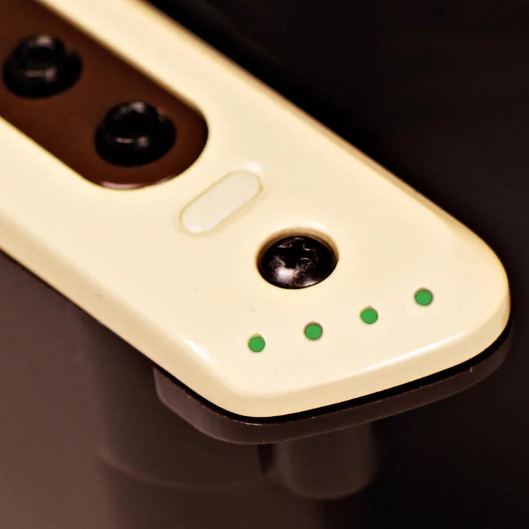 L.R. Baggs M80 Acoustic Guitar Soundhole Pickup