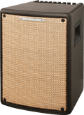T80II 80W Guitar & Mic Combo Amplifier – 8" Woofer, 1" Tweeter, FX, Reverb