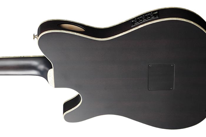 Ibanez Tim Henson Signature TOD10N Electric Nylon-String Guitar – Transparent Black Flat (TKF)
