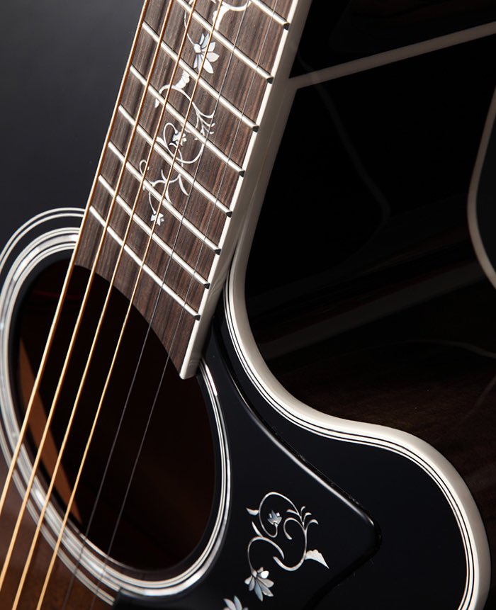 https://cdn.shopify.com/s/files/1/2703/8412/files/pickguard.jpg?v=1710266376