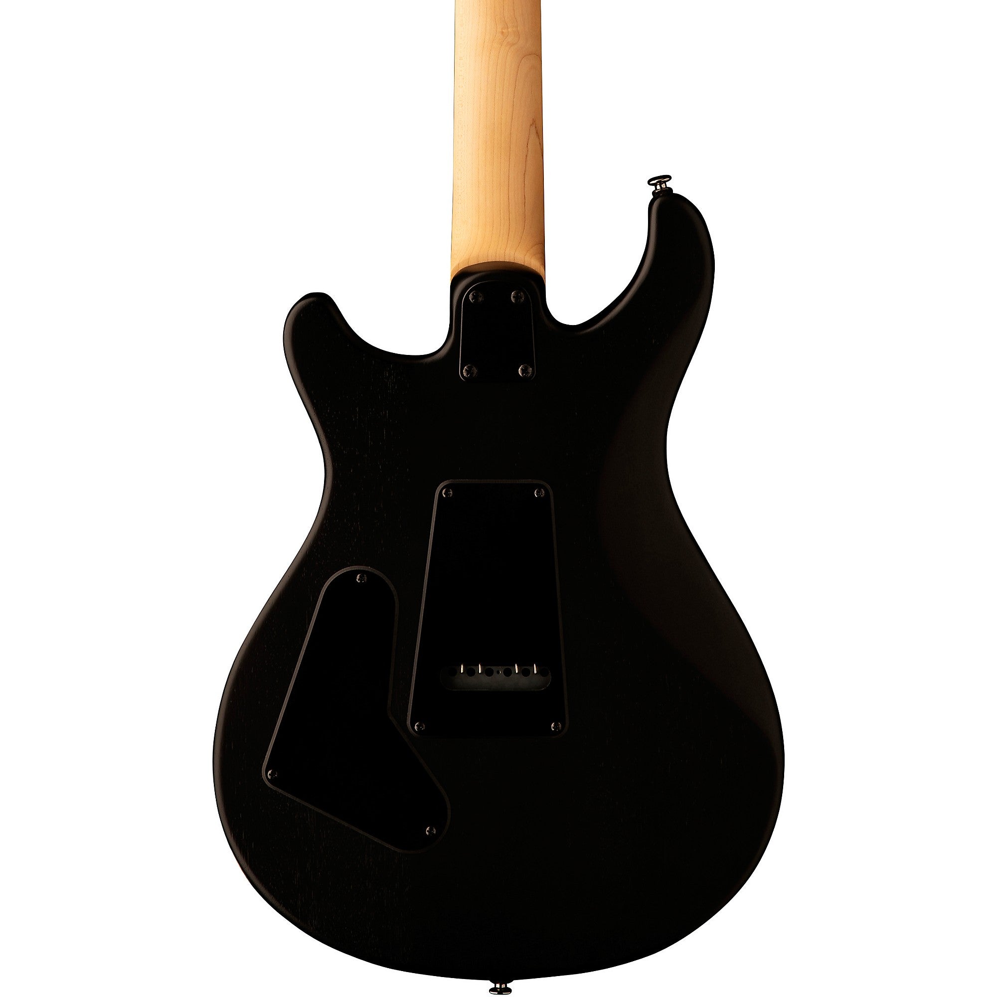 https://cdn.shopify.com/s/files/1/0668/1001/files/prs-se-swamp-ash-ce-24-sandblasted-white-2.jpg?v=1727202579