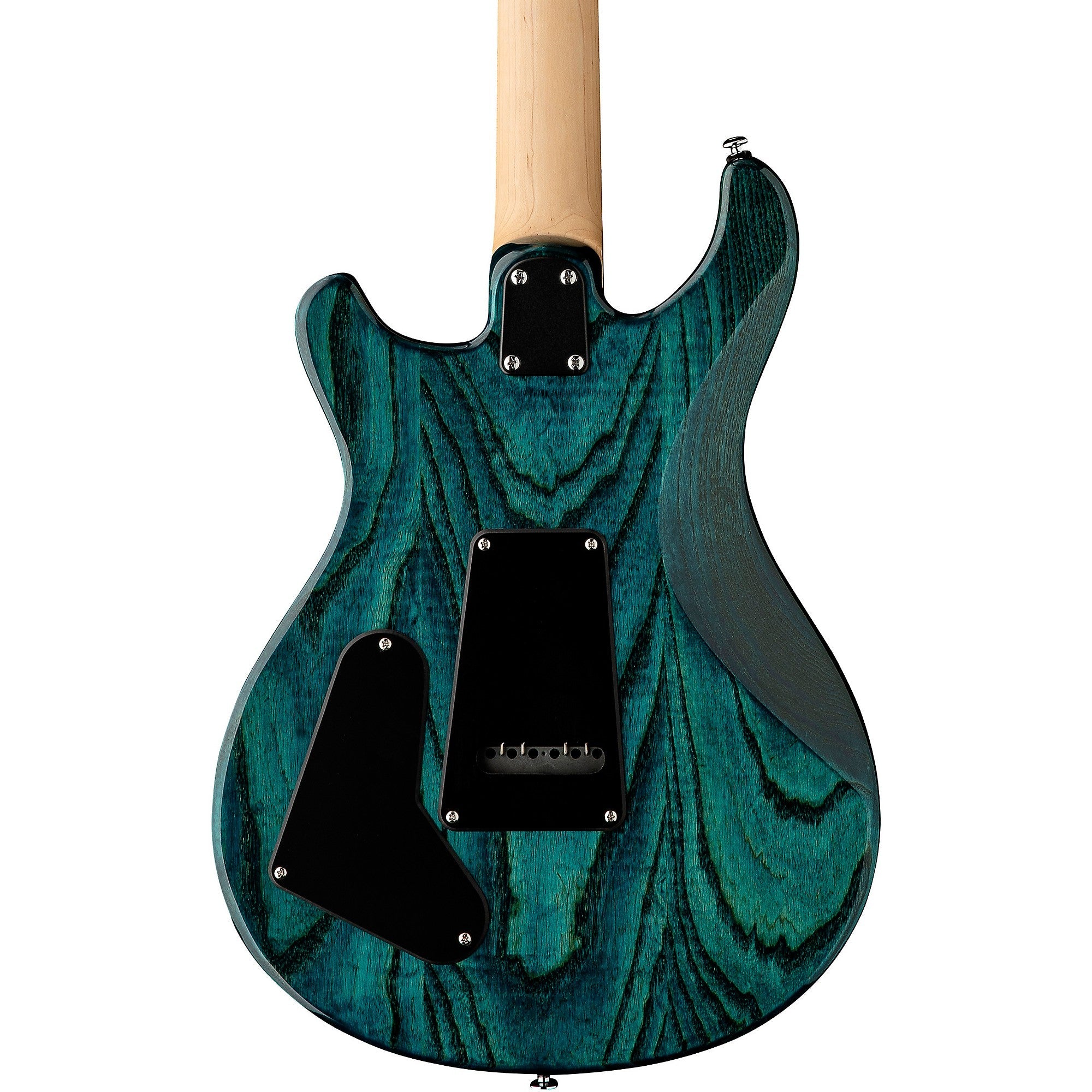 https://cdn.shopify.com/s/files/1/0668/1001/files/prs-se-swamp-ash-special-iri-blue-3.jpg?v=1700056808