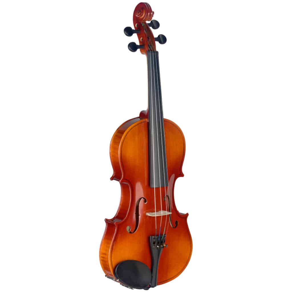 Stagg  VN44L 4/4 Maple Violin with Standard-Shaped Soft Case
