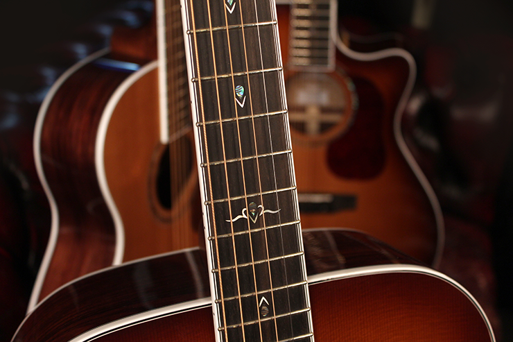 CORT GOLD-A8 ACOUSTIC GUITAR