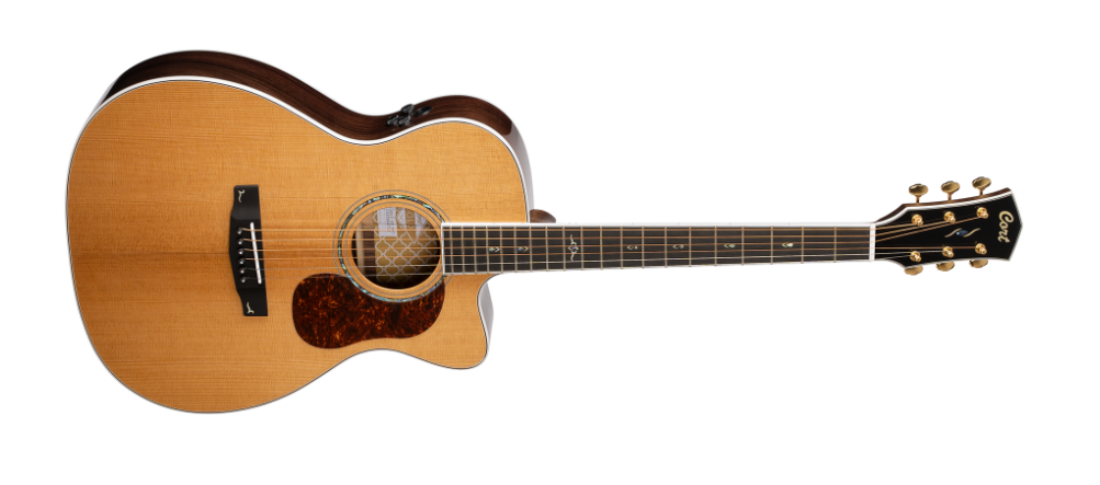 CORT GOLD OC8 ACOUSTIC GUITAR CASE Harry Green Music World