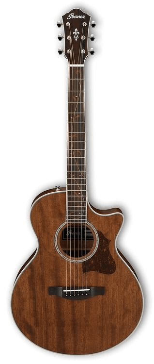 IBANEZ AE245JR-OPN
