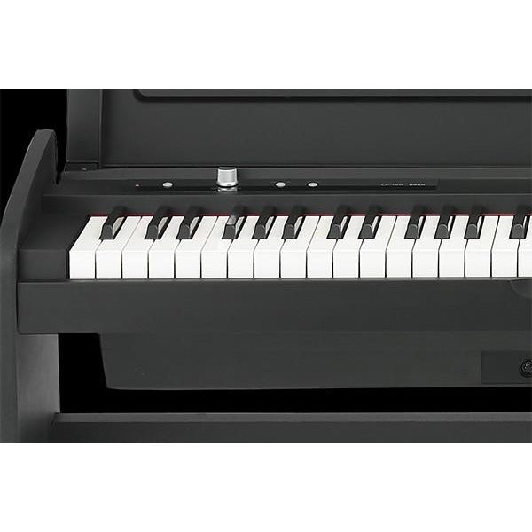 KORG LP180 KEYS