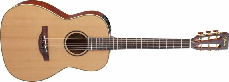 TAKAMINE P3NY